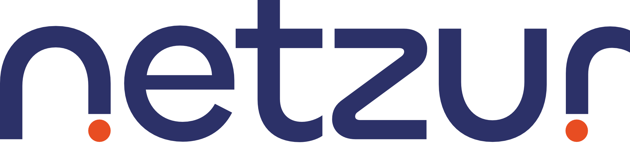 Netzur_FINAL LOGO - ONly